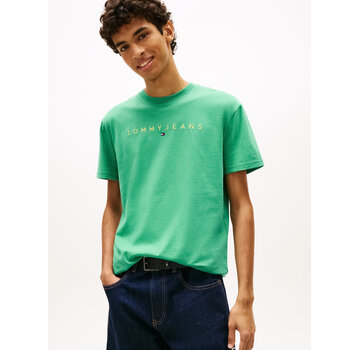 Tommy Hilfiger Linear T-shirt Logo Embroidery Jersey Green (DM0DM207440 -  0H9)