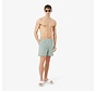 Lacoste Zwemshort Streep Groen (MH9089 - 1JA)