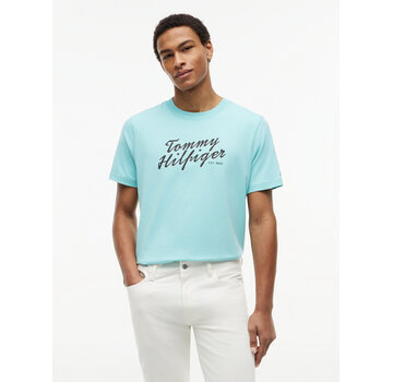 Tommy Hilfiger T-shirt Regular Fit Logo Graphic Crew Neck  Arctic Aqua (MW0MW42385 - CSR)