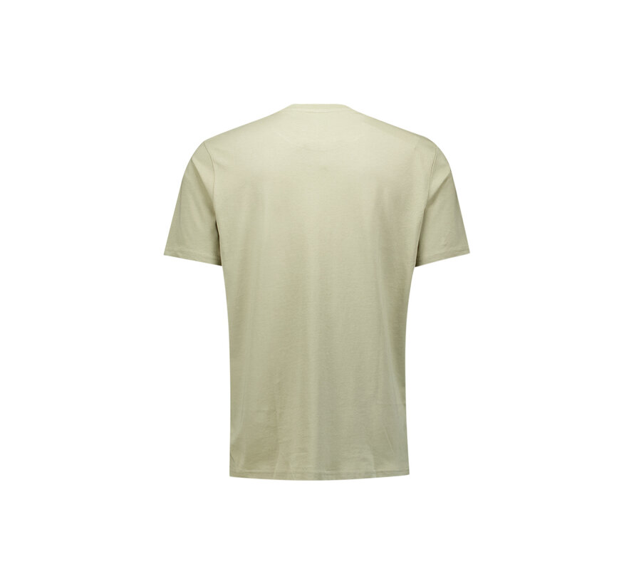T-Shirt Crewneck Solid Basic Light Moss (29340701SN - 197)