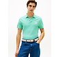 Polo TH Script Regular Fit Arctic Aqua (MW0MW43046 - CSR)