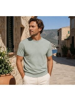 Zuitable Zuitable T-shirt DiRico Olive (222 - 730)