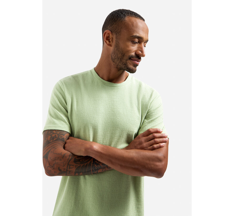 T-Shirt Crewneck Solid Jacquard Green (31320230SN - 050)