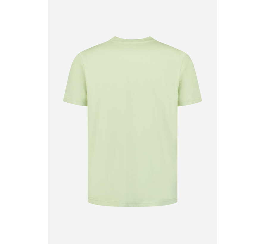T-Shirt Crewneck Solid Basic Green (31340201SN - 050)
