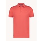 A Fish Named Fred Polo Fabric Dye Burnt Orange (99.3001 - 455)