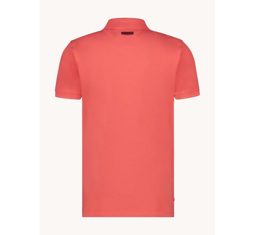 A Fish Named Fred Polo Fabric Dye Burnt Orange (99.3001 - 455)