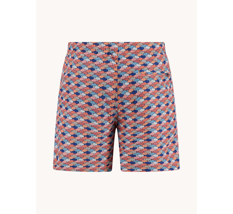 A Fish Named Fred Zwemshort Graphic Fish Multicolor (33.253 - 604)