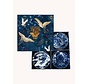 A Fish Named Fred Bowls Set Tokyo Design (34.709 - 602)