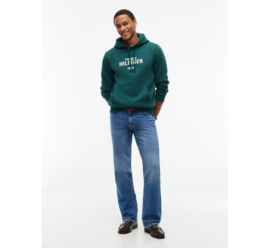 Tommy Hilfiger Hooded Sweater Hilfiger Stack Regular Fit Green (MW0MW44937 - L6K)