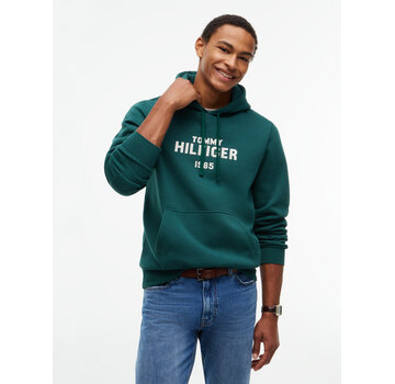 Tommy Hilfiger Tommy Hilfiger Hooded Sweater Hilfiger Stack Regular Fit Green (MW0MW44937 - L6K)