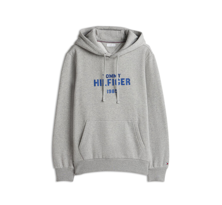 Tommy Hilfiger Hooded Sweater Hilfiger Stack Regular FitLight Grey (MW0MW44937 - P01)