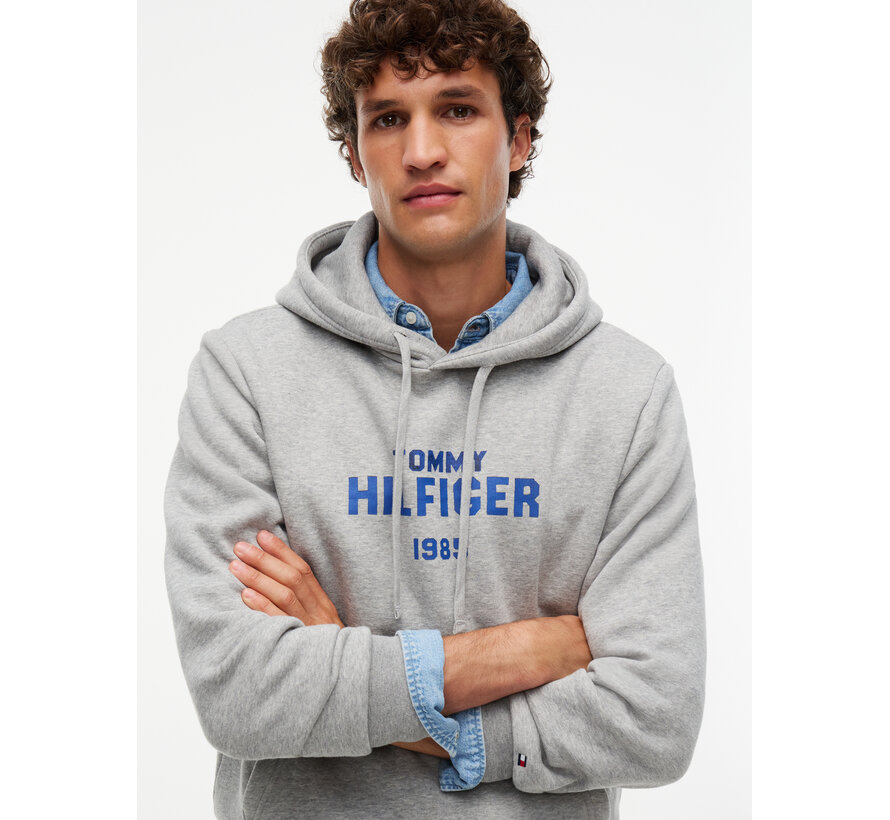 Tommy Hilfiger Hooded Sweater Hilfiger Stack Regular FitLight Grey (MW0MW44937 - P01)