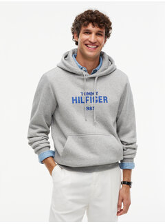 Tommy Hilfiger Tommy Hilfiger Hooded Sweater Hilfiger Stack Regular FitLight Grey (MW0MW44937 - P01)