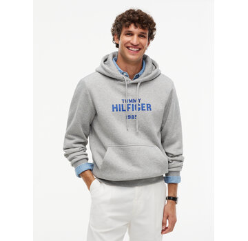 Tommy Hilfiger Tommy Hilfiger Hooded Sweater Hilfiger Stack Regular FitLight Grey (MW0MW44937 - P01)