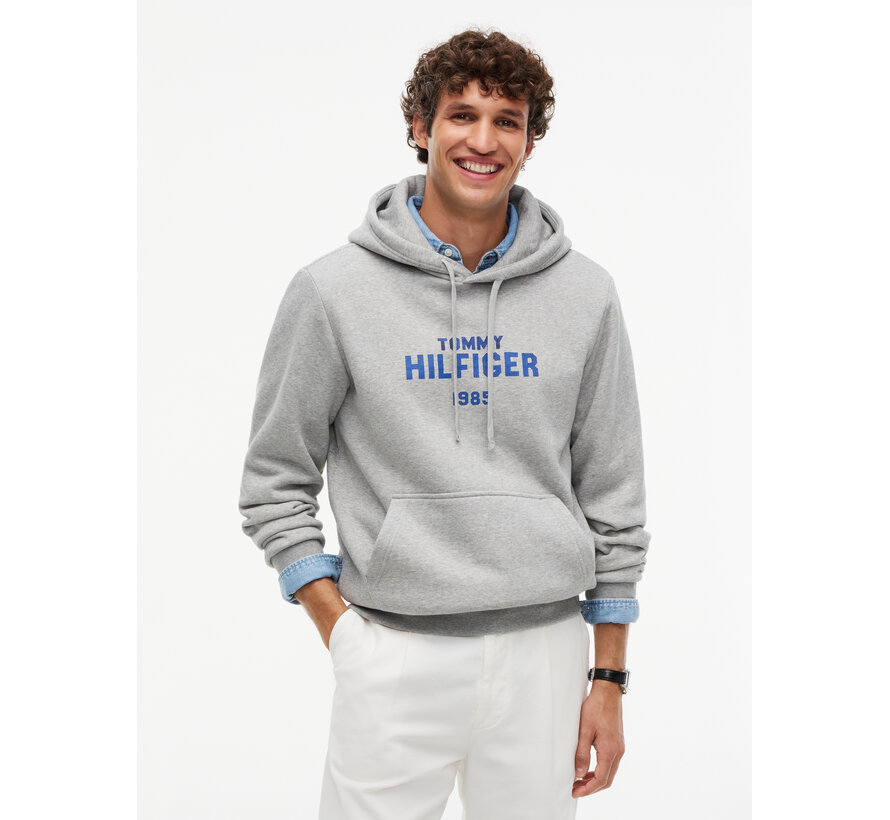 Tommy Hilfiger Hooded Sweater Hilfiger Stack Regular FitLight Grey (MW0MW44937 - P01)