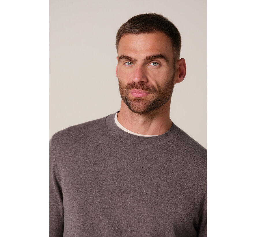 Profuomo Pullover Crew Neck Aubergine (PPXJ30001E)