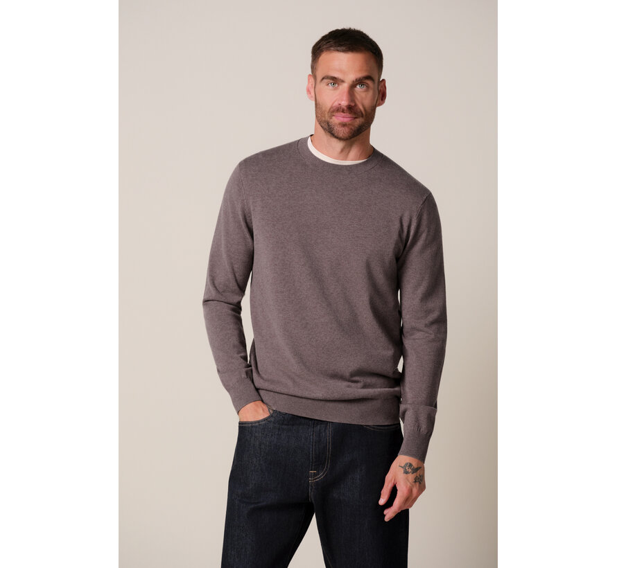 Profuomo Pullover Crew Neck Aubergine (PPXJ30001E)