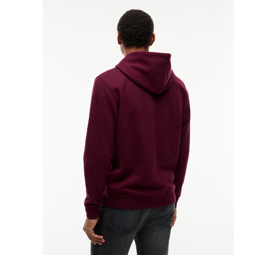 Tommy Hilfiger Jeans Hooded Sweater Reg Linear Logo Calypso Berry (DM0DM20746 - V11)