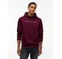 Tommy Hilfiger Jeans Hooded Sweater Reg Linear Logo Calypso Berry (DM0DM20746 - V11)
