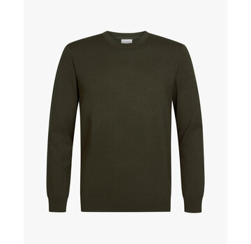 Profuomo Pullover Crew Neck Dark Green (PPXJ30001C)