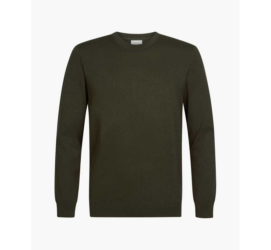 Profuomo Pullover Crew Neck Dark Green (PPXJ30001C)