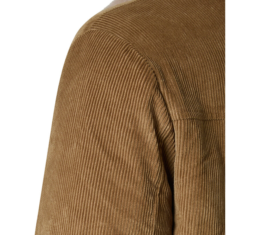 Pierre Cardin Winterjas Blouson Corduroy Camel (10215.0119 - 8117)