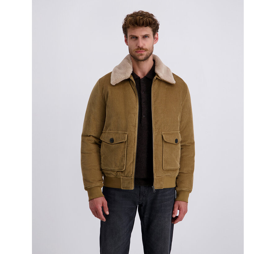 Pierre Cardin Winterjas Blouson Corduroy Camel (10215.0119 - 8117)