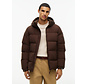 Tommy Hilfiger Winterjas Down Hooded Puffer Dark Coffee (MW0MW45303 - GOP)