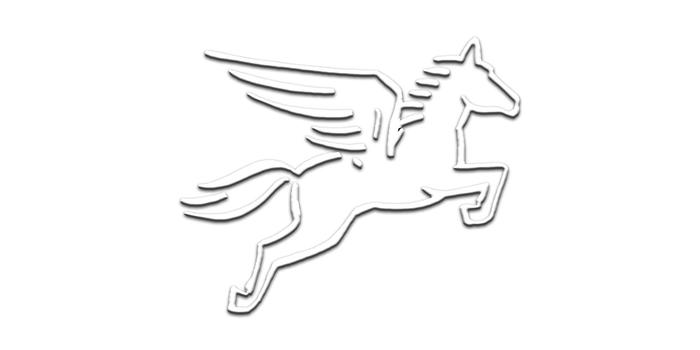 Pegasus Pro
