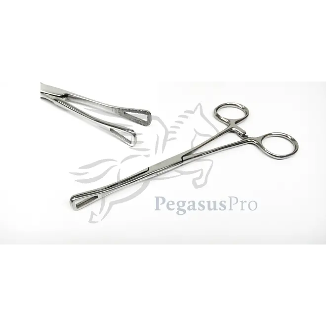 Ago Cannula Warrior Box 1pz 17G Bianco Ø 1.5 mm, Piercing Shop & Tattoo  Supply (Napoli)