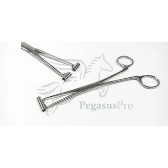 Orebro Septum Zange Orebro Septum Zange