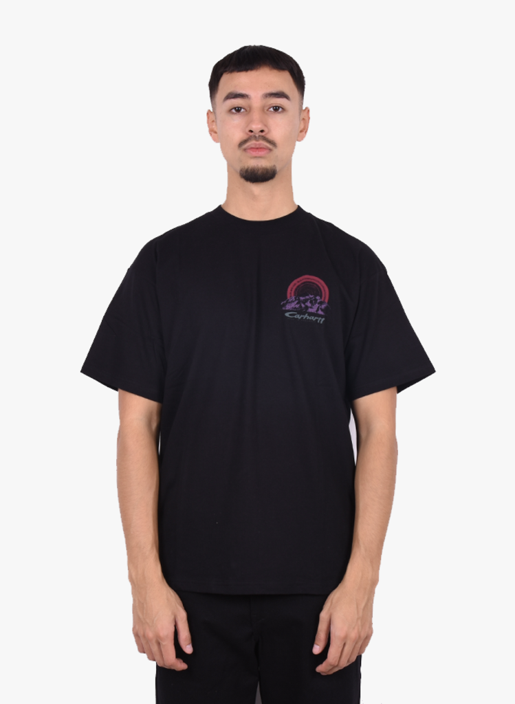 carhartt mountain t shirt