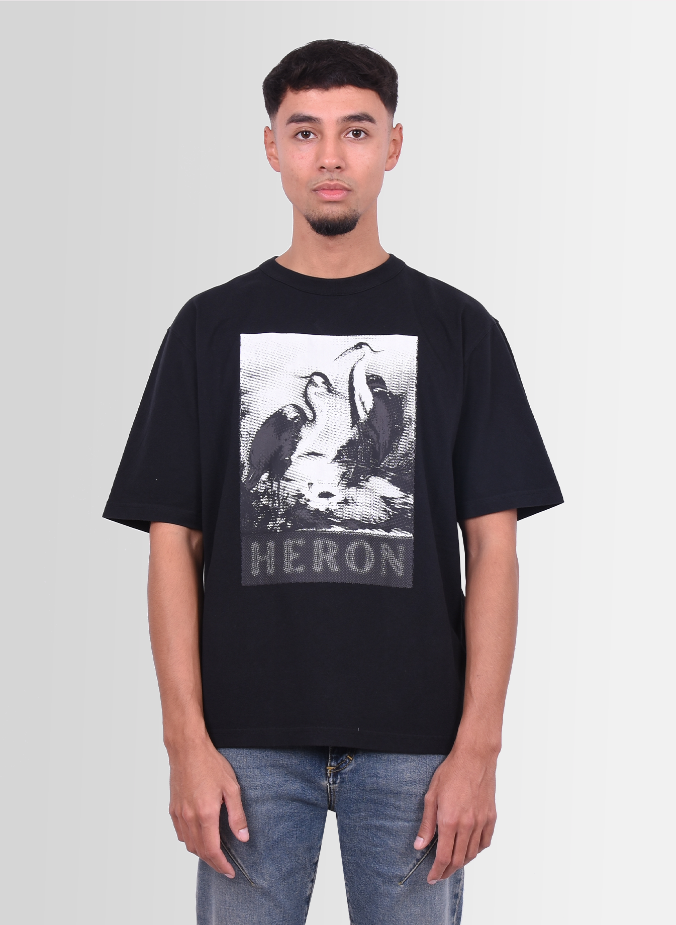 タ ヘロンプレストン HERON PRESTON Tシャツ tee バード - csihealth.net