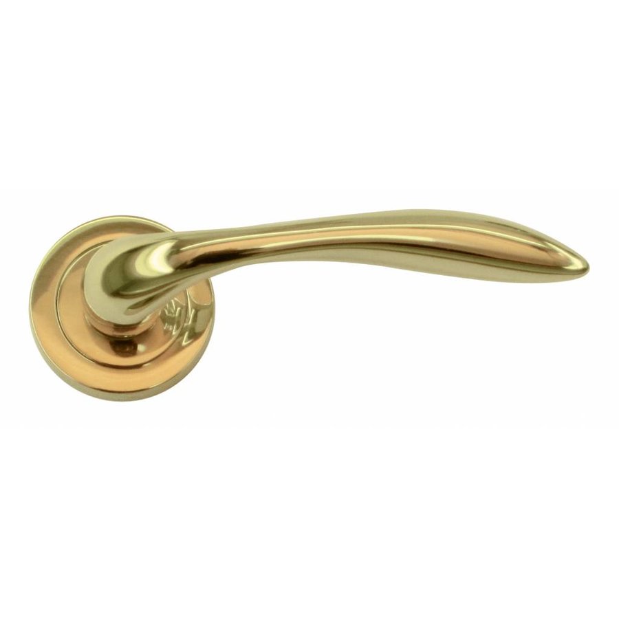 Manilla Pro Giava Titanio R+No Key-1
