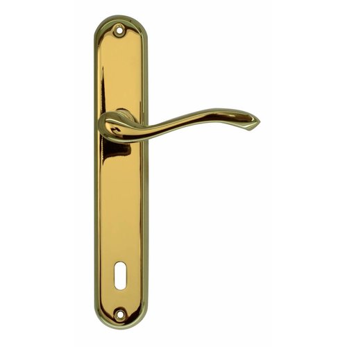 Manilla Pro Erica Titanio Placa 