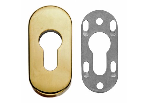 Placa del Cilindro de Seguridad HDD Ovalada Titanio A= 9MM 