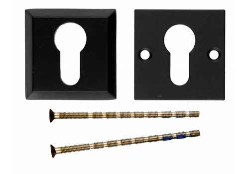 Placa del Cilindro de Seguridad HDD Cuadrado Negro  A= 8MM 