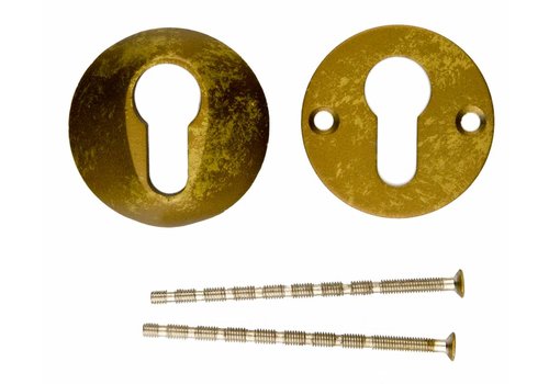 Placa del Cilindro de Seguridad HDD Amarillo Viejo  A= 8MM 