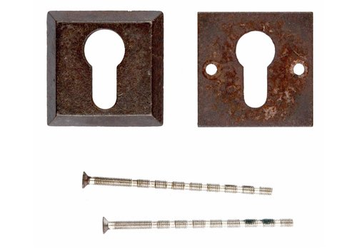 Placa del Cilindro de Seguridad HDD Caudrado Óxido  A= 8MM 