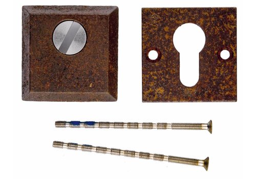 Placa del Cilindro de Seguridad HDD Caudrado Safe Óxido  A= 10MM 