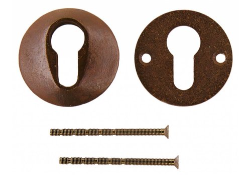 Placa del Cilindro de Seguridad HDD Óxido A= 10MM 