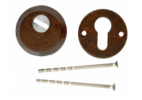 Placa del Cilindro de Seguridad HDD Safe Óxido A= 10MM 