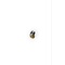 Makmayer Makmayer cold glue tab S (1,5 cm)