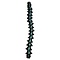 Elim A Dent Spinal cord lower assembly for Elimadent light