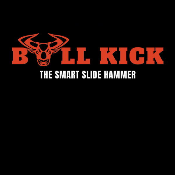 Pillon PDR Sergio Pillon Bull kick kit 3