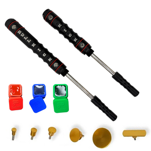 Sergio Pillon Bull kick kit 3