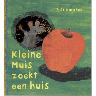 BOEK Kleine muis zoekt een huis