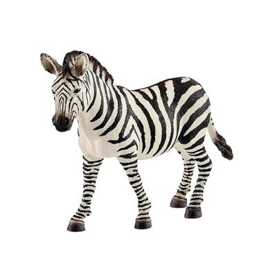 Zebra Stute