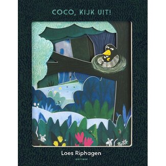 BOEK Coco, kijk uit!