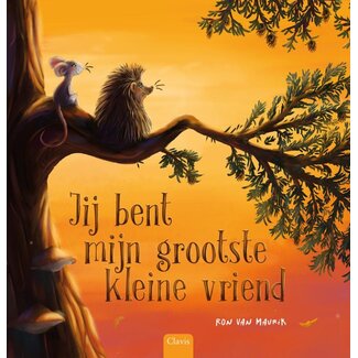 BOEK Jij bent mijn grootste kleine vriend